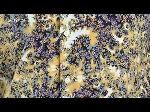 Fraktale Die verborgene Ordnung der Natur Mandelbrot und seine Welt