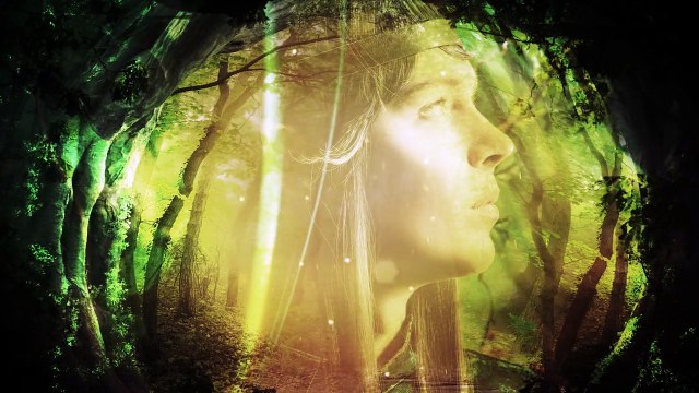 The Sleeping King by Cindy Dees and Bill Flippin Book Trailer