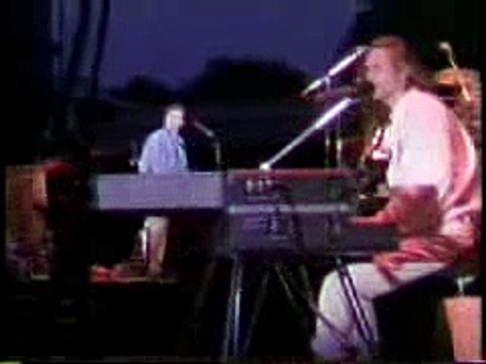 Hothouse Flowers - Dance To The Storm