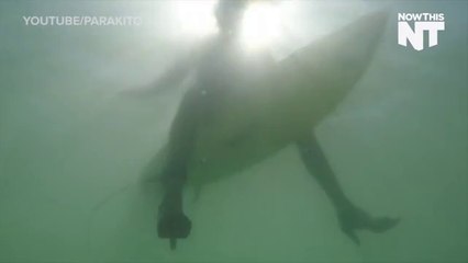 Surfing In Heels Is As Badass As It Sounds