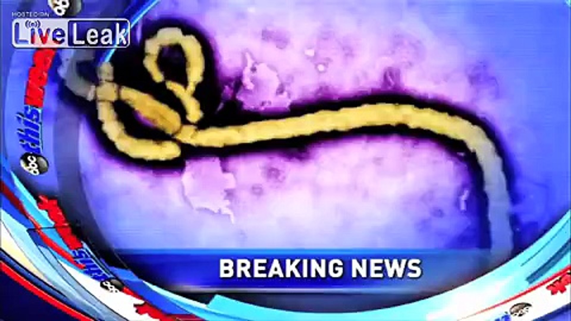 Ebola coverage US vs UK