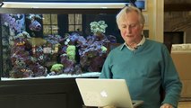 Atheist Richard Dawkins Reads Hate Mail From Christians