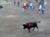 Horse dismembered alive at colombian festival *GRAPHIC*