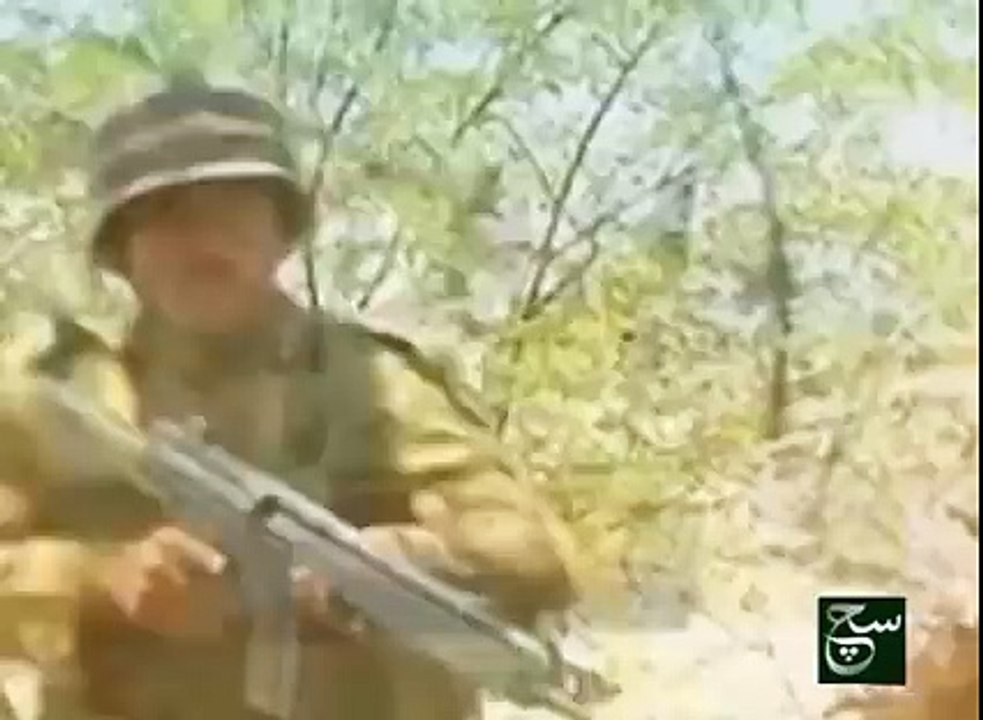 hum Haidari hain