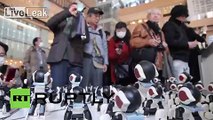 Japan: Watch 100 mini breakdancing robots perform flawless routine