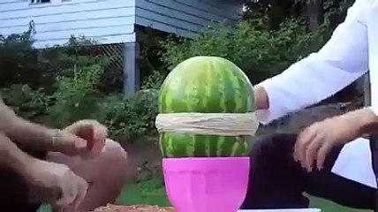 This game looks fun..._2