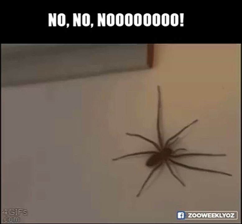 Enjoy this guys...