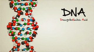Estructura del ADN: Watson y Crick