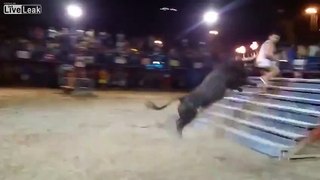 Taunting a bull goes wrong.