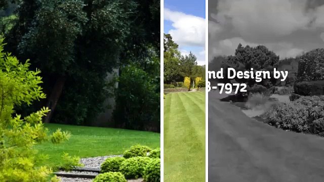 Professional Landscaping and Design by Sergio LLC - (602) 718-7972