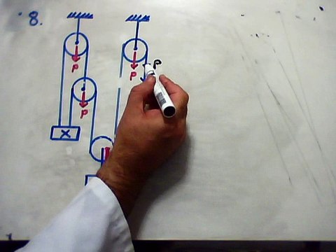 SEVİYE BELİRLEME SINAVI SORU 8