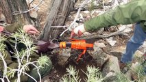 Mystery Surrounds An 1870's Rifle Found Leaning Against A Tree In Great Basin National Park