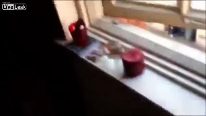 Hooligans UK - Leicester vs Aston Villa