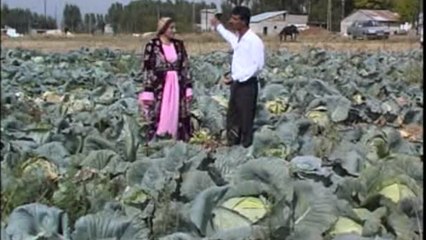 Dilbirin Memo - Kürtçe Uzun Havalar-Lé Lé Kiné