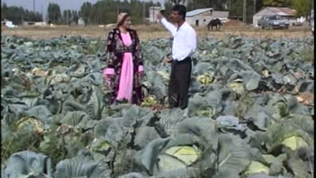 Dilbirin Memo - Kürtçe Uzun Havalar-Lé Lé Kiné