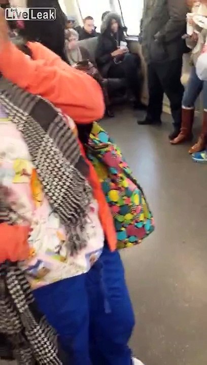 Chick Fight On Train