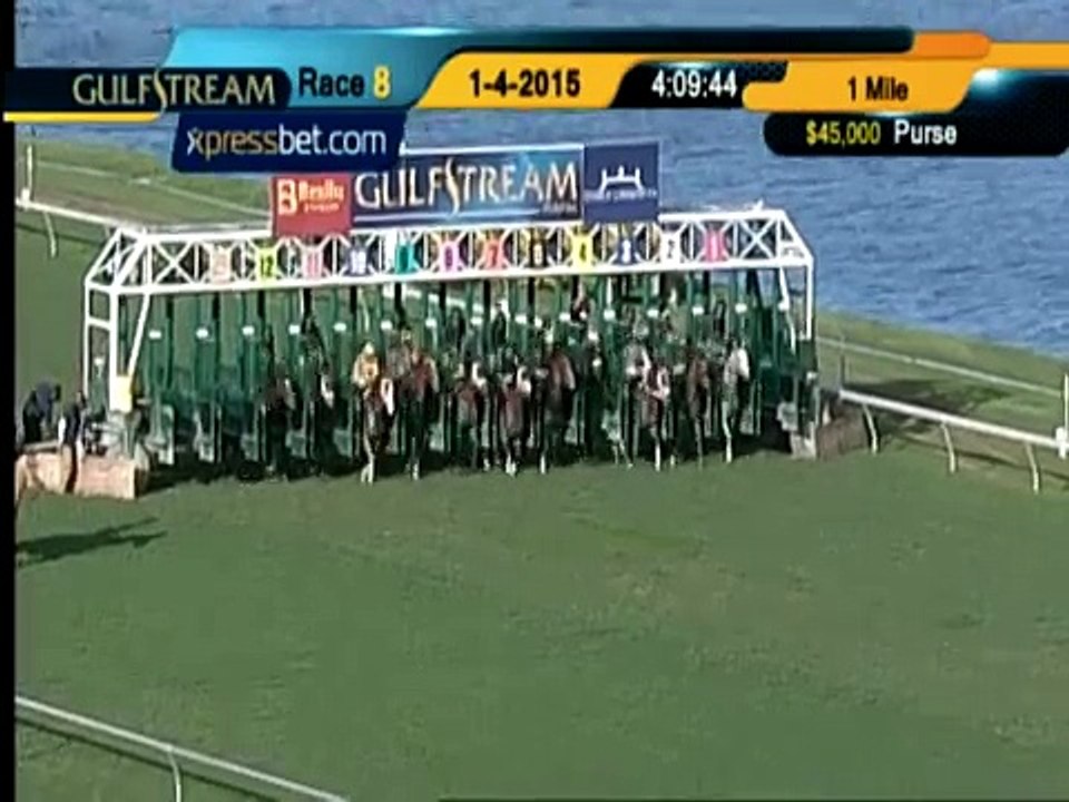Don't name your race horse 'Harass'
