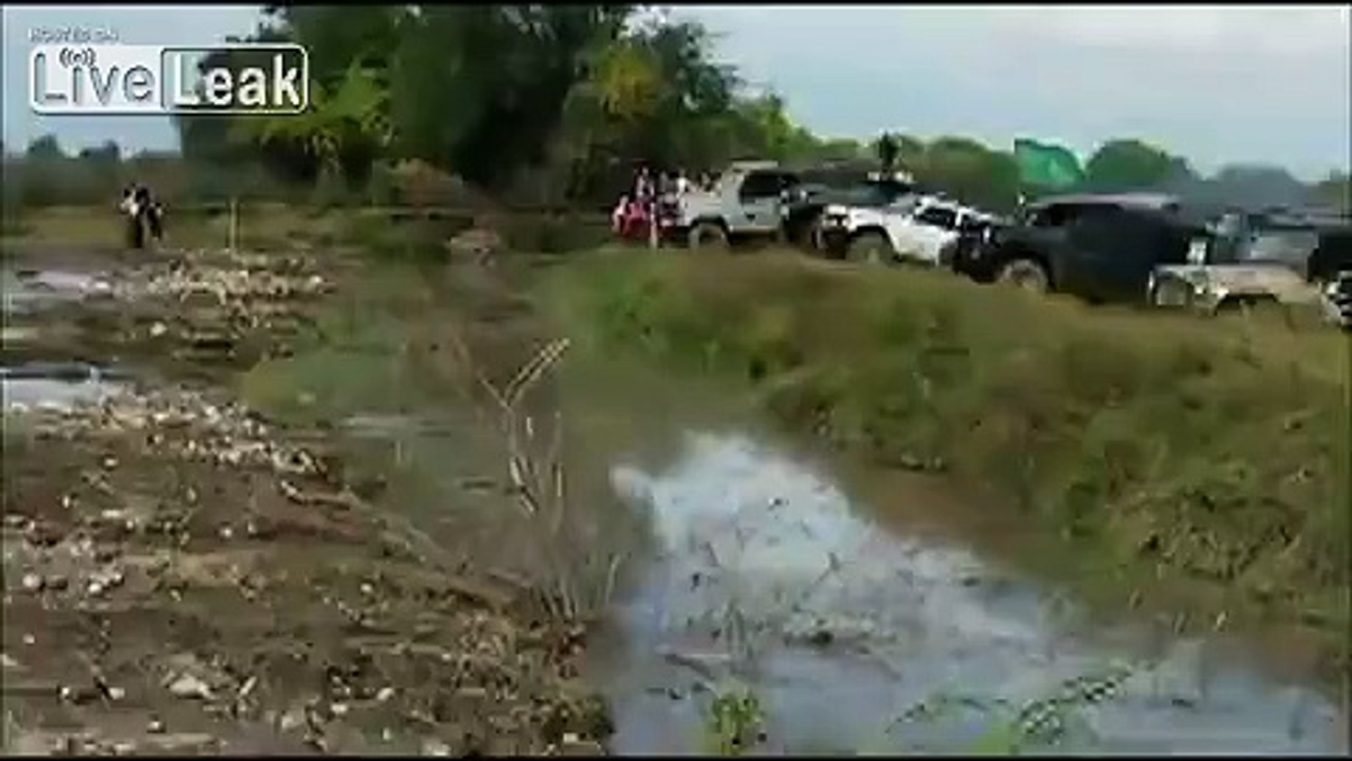 Race