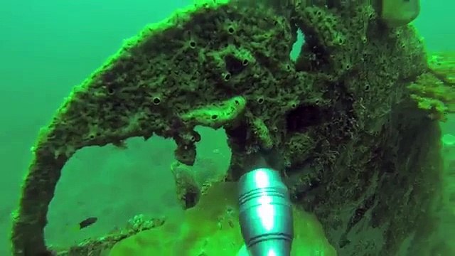 diving in Kimbe Bay, Papua New Guinea WWII Japanese Zero , Cinematographers filming sea turtle