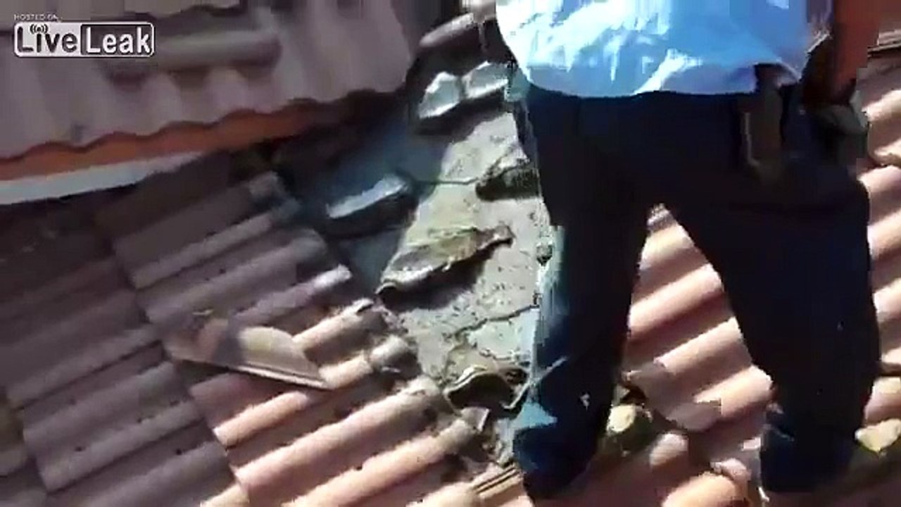 suprise in top of the house