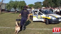 PM de Arapongas contará com o auxilio de 10 cães treinados