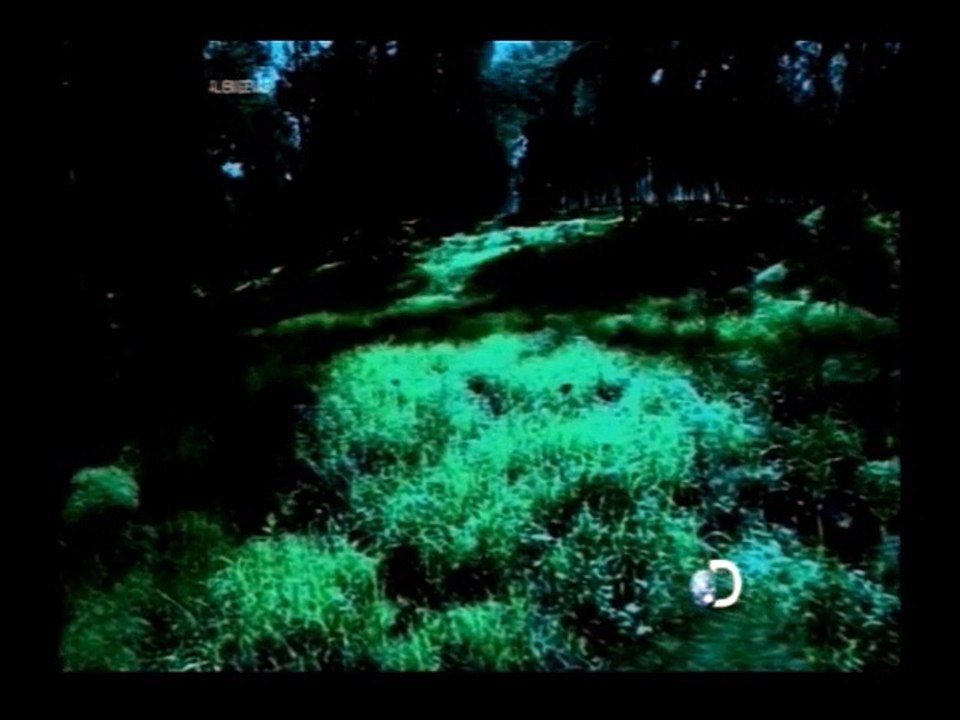 Alienígenas  - Contatos de 3o Grau