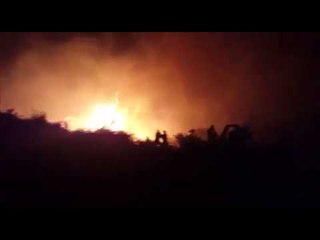 A1 Report -  Vlorë, kullotat në Dukat 8 orë  nën flakë, digjen rreth 20 hektarë