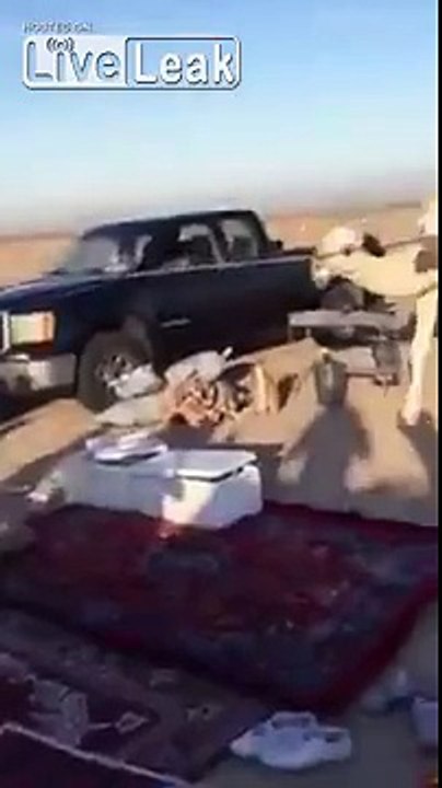 Camels Swarm on Terrified Kuwaiti Men Desert Picnicking