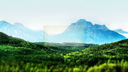 What You Need To Engage In An Amazing Bird Watching Holiday