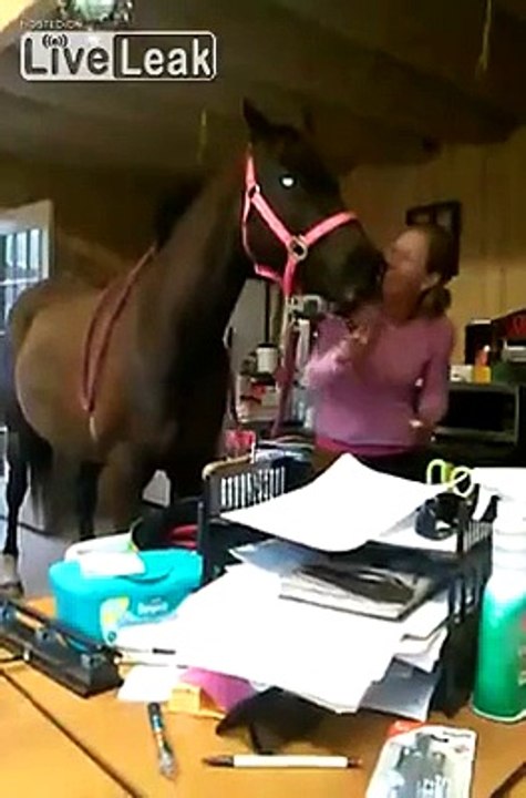 The horse follows her mom everywhere