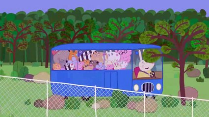 Dokter Bruinbeer voice over - Peppa Big heeft Ebola (Auditiefilmpje)