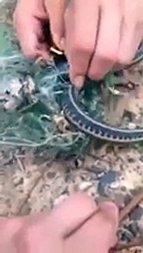 Trapped Snake Thanks It’s Rescuers With A Surprise!