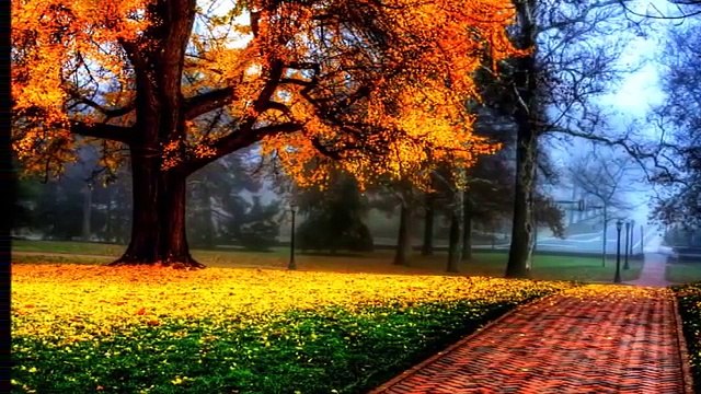 Selda Bağcan Ah yalan dünya