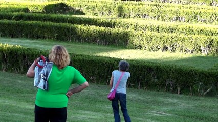 The _Smartest_ Dog Ever! LOL Funny Video