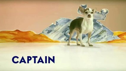 Star Wars And Dogs -- Cute Puppies Play With Droid Toy - funny