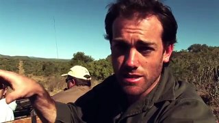 Wild Animal Encounters - Ben Britton - Kwandwe Carnivore Research