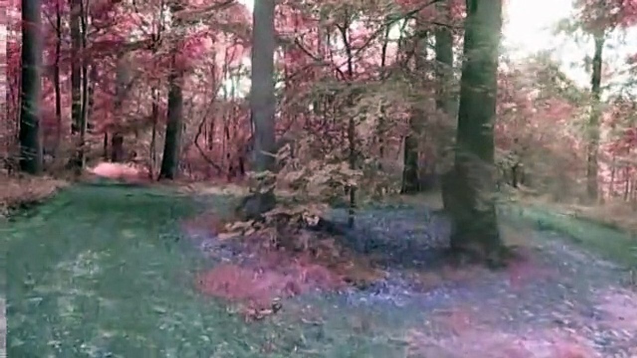 introretrogaming