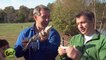 Wild Kratts | Alligator | PBS KIDS GO!