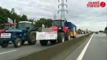 Rocade de Rennes : les agriculteurs de retour de Paris