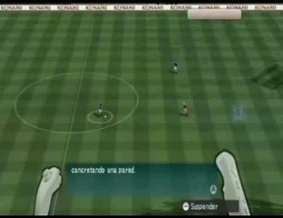 Pro Evolution Soccer 2008, Pared