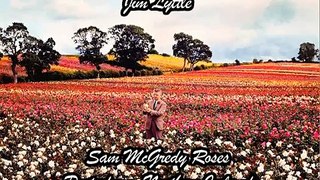 Sam McGredy Roses by Jim Lyttle, Portadown, Northern Ireland