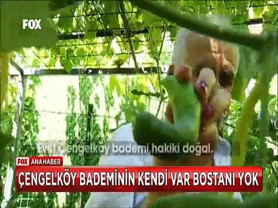 Çengelköy bademinin adı var ama üretilecek bostanı (bahçesi) yok