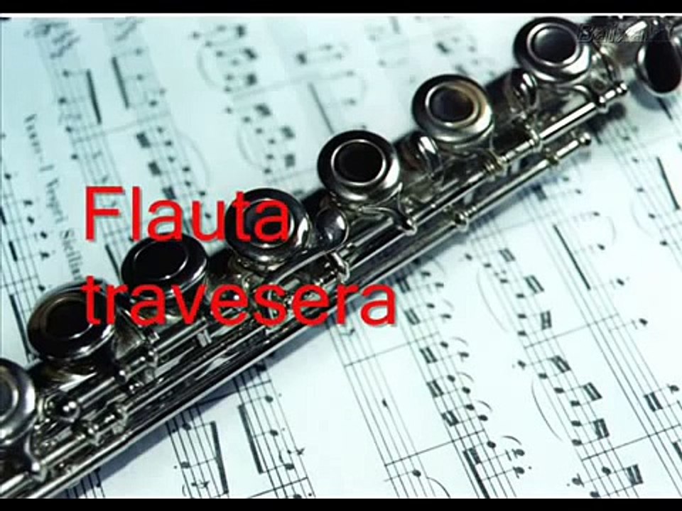 Los instrumentos musicales ( sonido e instrumento ) ~~~