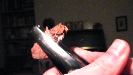 FREE Slow Motion Clip Nut Crack