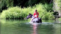 Horse Riding at the River - - -  Sunday Morning