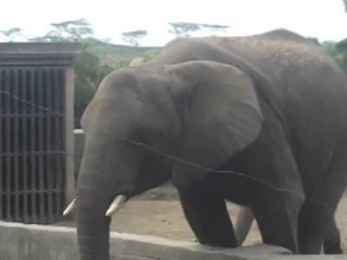 ZOOLOGICO MATECAÑA PEREIRA RISARALDA