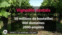 Emission spéciale Vignes et Vendanges à Gétigné