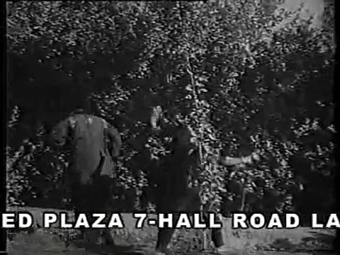 LAJ MOHABATAN DI RAKH WEY Remix - ANWARA - Noor Jahan