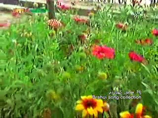 Qadir jan Brahui song collection by Rj Manzoor Kiazai