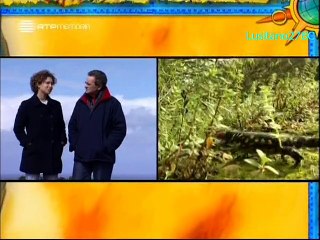Descobrir Portugal - Algarve - RTP Memória